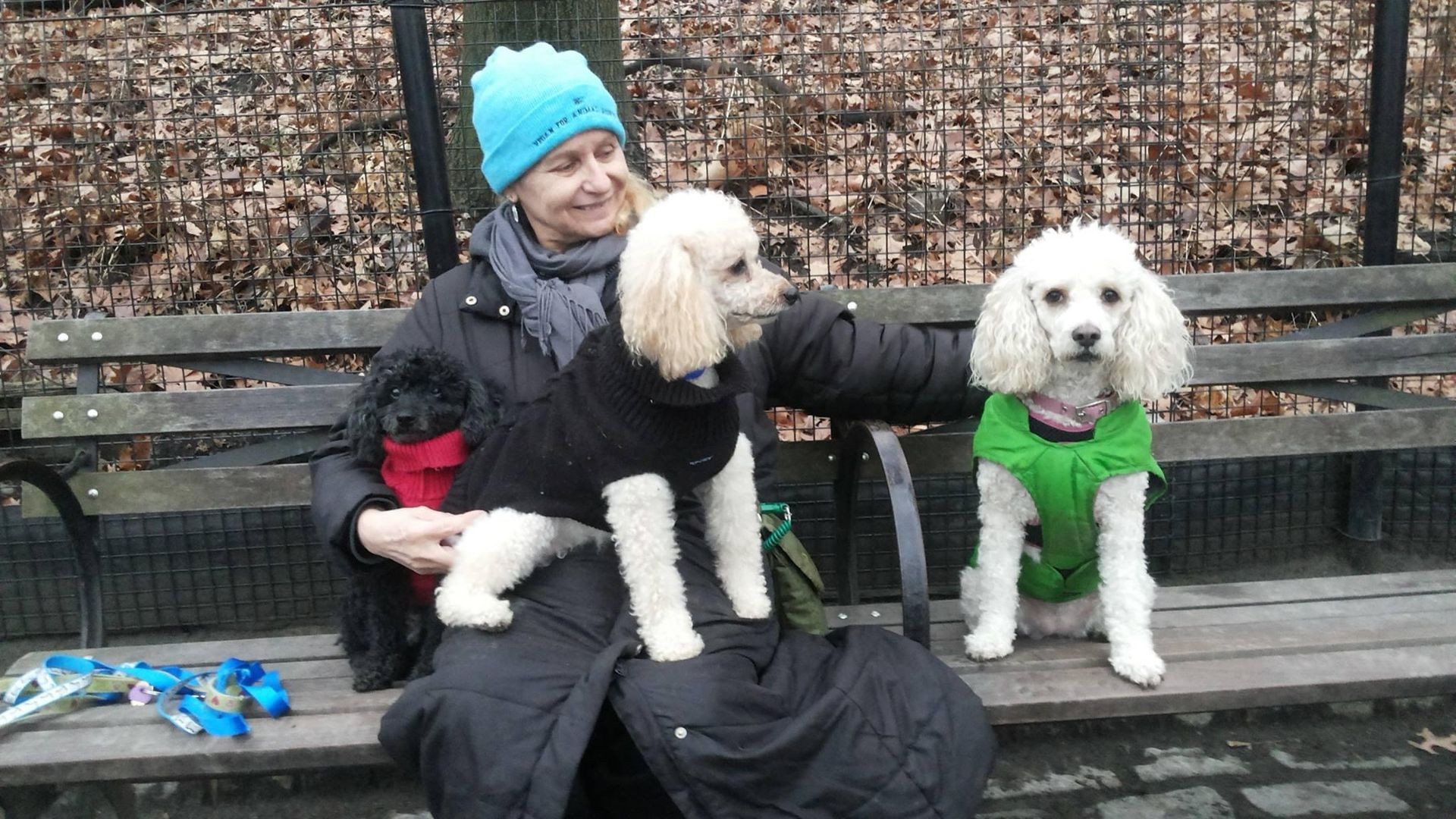 Extended Pet Care more the two weeks